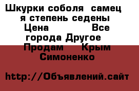 Шкурки соболя (самец) 1-я степень седены › Цена ­ 12 000 - Все города Другое » Продам   . Крым,Симоненко